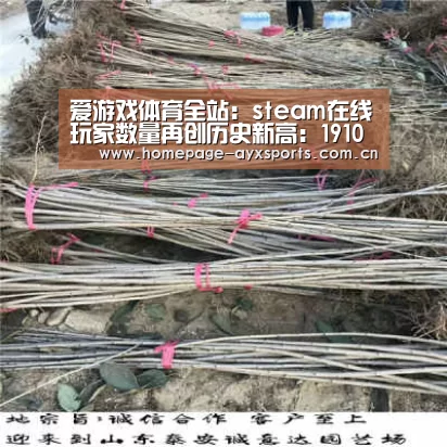 爱游戏体育全站:steam在线玩家数量再创历史新高:1910万(图3) 爱游戏官网