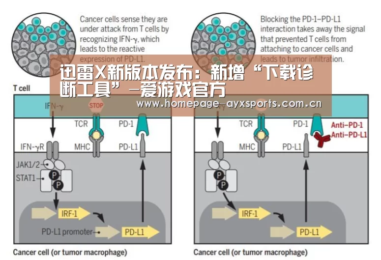 爱游戏体育全站