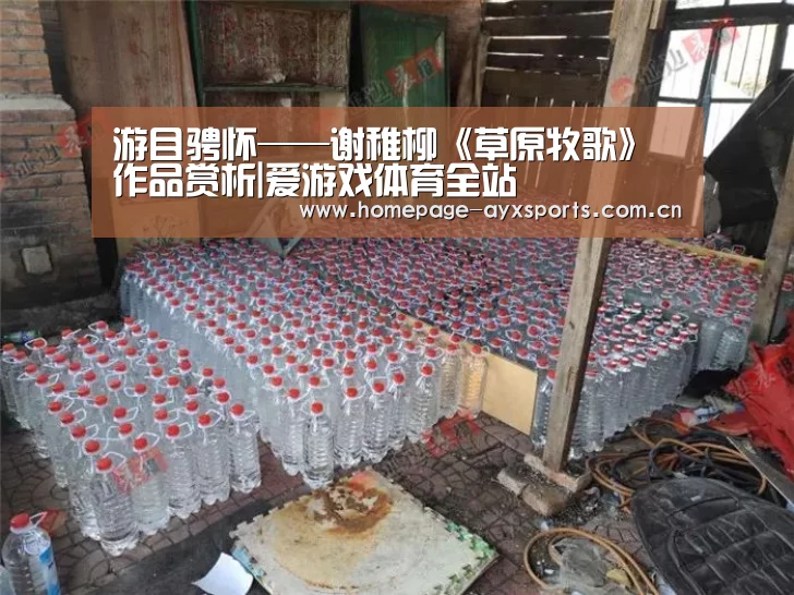 爱游戏官网