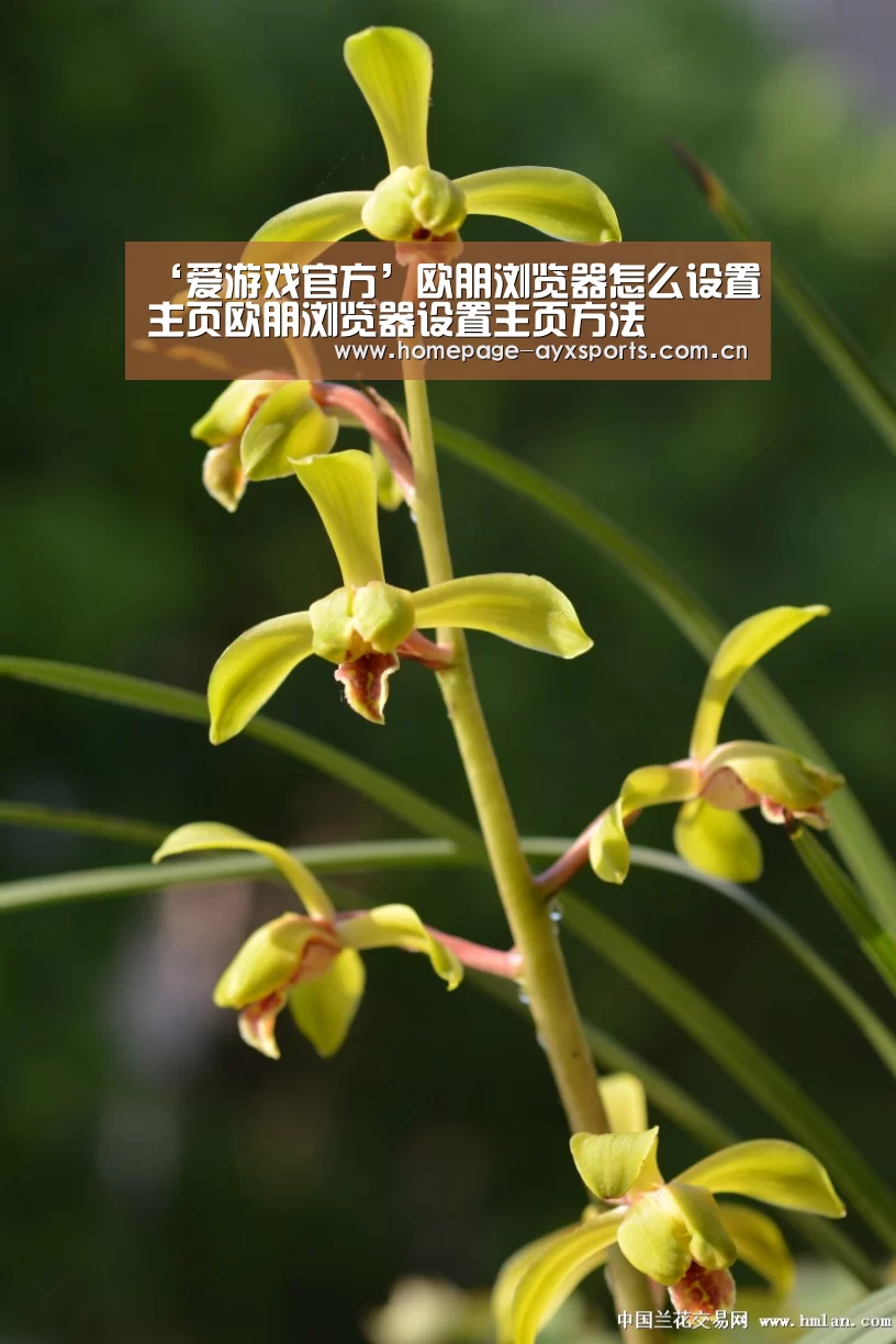 ‘爱游戏官方’欧朋浏览器怎么设置主页欧朋浏览器设置主页方法(图3) 爱游戏官网